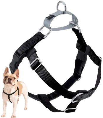 2 Hounds Design Freedom harness with front and rear leash attachment points