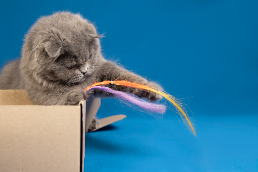 Catnip toys for playful cats in a cardboard box