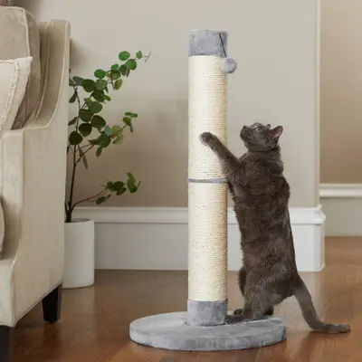 Frisco 35-inch gray cat scratching post with plush square base, sisal-wrapped post, and hanging toy