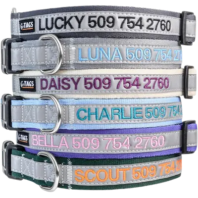 GoTags reflective personalized dog collar with embroidered contact details