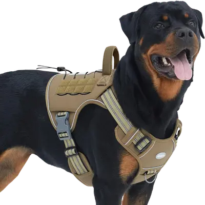 PetSafe Easy Walk lightweight dog harness with front chest leash attachment