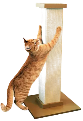 SmartCat Ultimate 32-inch beige scratching post with square base and woven sisal scratching surface